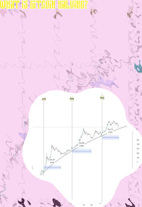 Bitcoin halving cycle