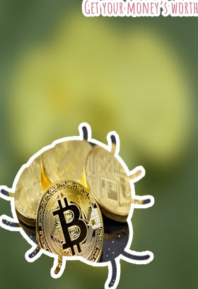 Can you get money from bitcoin