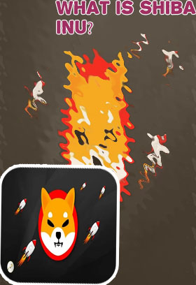 Shiba inu price crypto