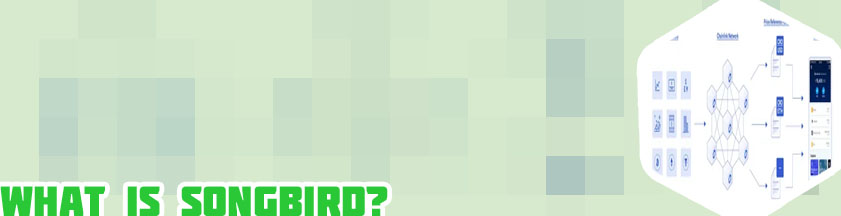What is sgb crypto